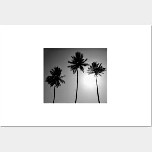 Dark palms in paradise Posters and Art